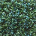 Artificial Blue Buxus Panel (Indoor or Outdoor)