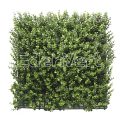 Buxus Wall Panel 50cm x 50cm, 1m x 1m