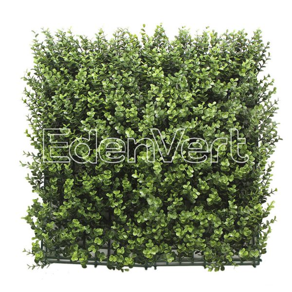 Buxus Wall Panel 50cm x 50cm, 1m x 1m