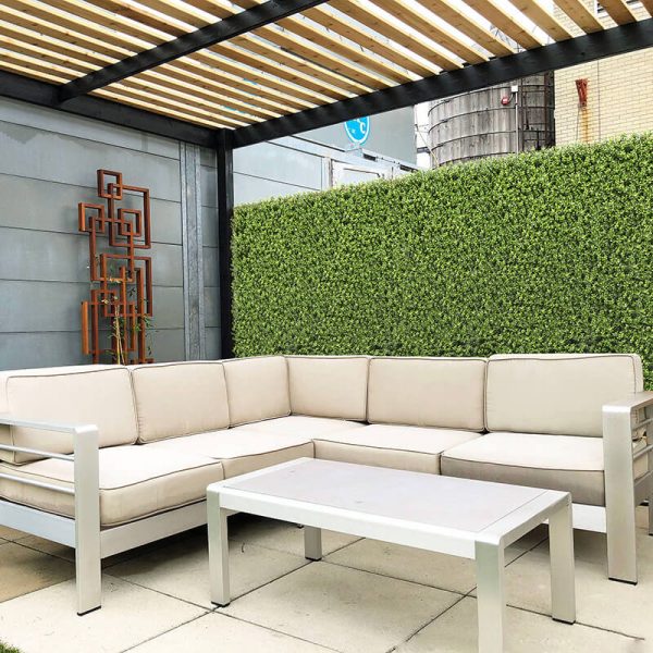 Buxus Wall Panel 50cm x 50cm, 1m x 1m