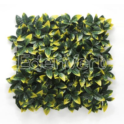 Photinia Leaf Screen / Panel UV Resistant