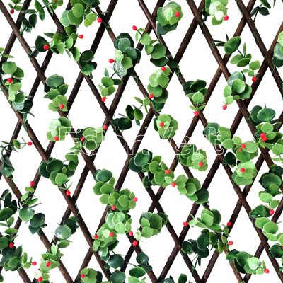 Expanding Eucalyptus Willow Fence with Red Buds