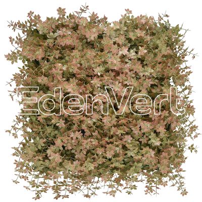 Gynostemma Pentaphyllum Artificial Wall Panel