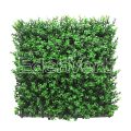 Green Buxus Wall Panel Fence Privacy Screen