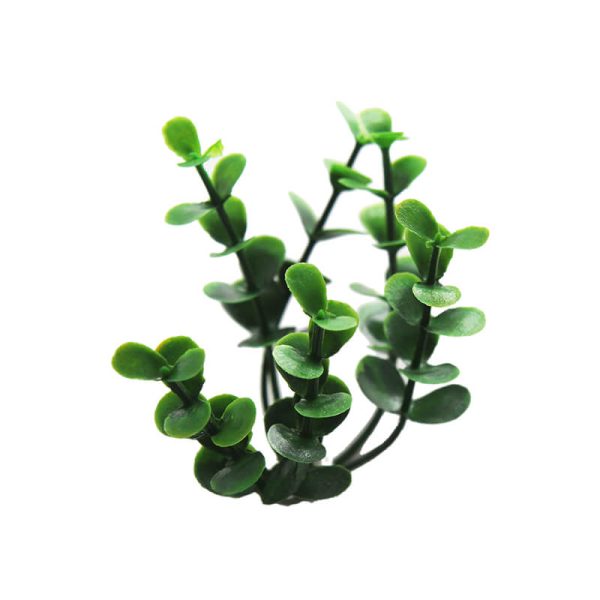 Green Buxus Wall Panel Fence Privacy Screen