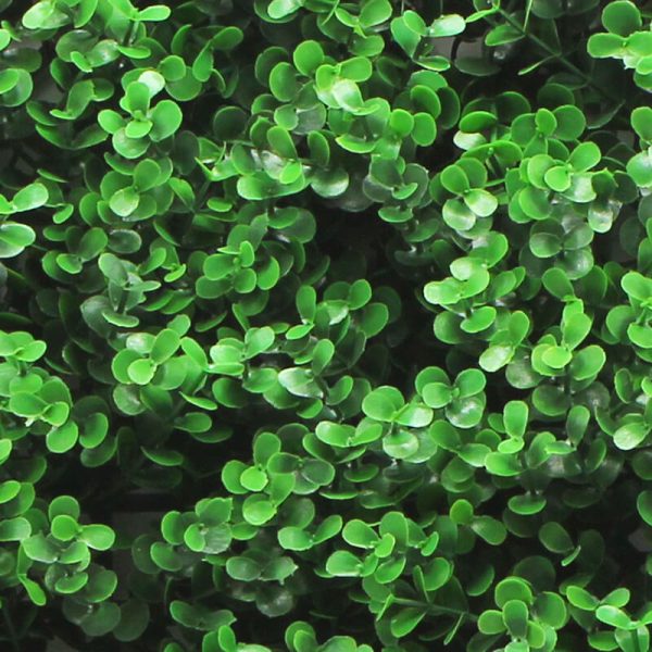 Green Buxus Wall Panel Fence Privacy Screen