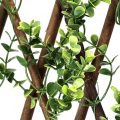 Adjustable Retractable Green Buxus Willow Fence