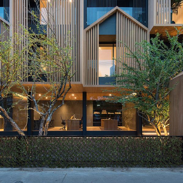 UV Protected Green Maple Willow Fence