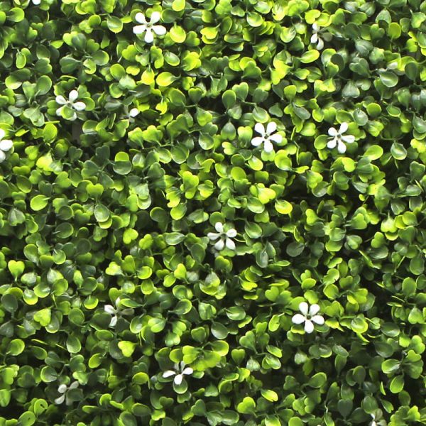 Jasmine Boxwood Artificial Hedge Wall Panel