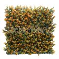 Orange Buxus Panel for Commercial / Home Decoration