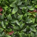 Photinia Artificial Hedge Panel UV Resistant