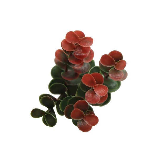 Red Buxus Artificial Hedge Panel Fire Retardant