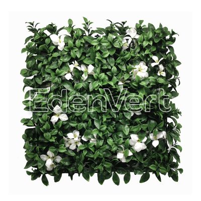 Gardenia Leaf Wall with White Flowers