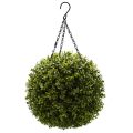 Artificial Hanging Buxus Ball