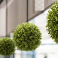 Artificial Hanging Buxus Ball