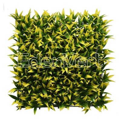 Podocarpus Nagi Green Wall Panel