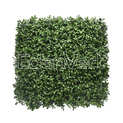 Green Murraya Leaf Wall Panel