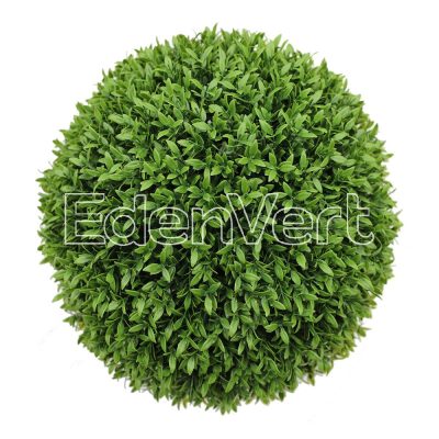 Aptenia Hanging Grass Ball for Front Doors