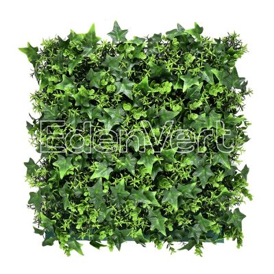 Ocean Dew Landscape Greenery Wall