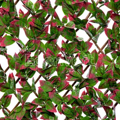 Decorative Red Photinia Willow Fence