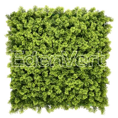 Houttuynia Cordata Artificial Living Wall Panel