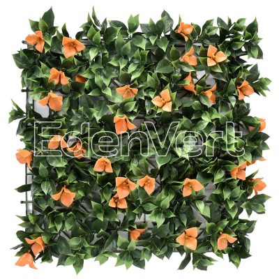 Green Wall with Orange Bougainvillea
