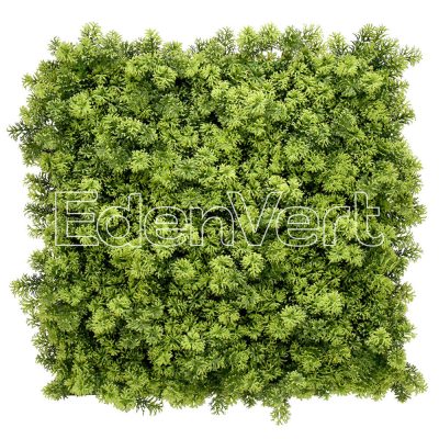 Artificial Houttuynia Cordata Greenery Wall