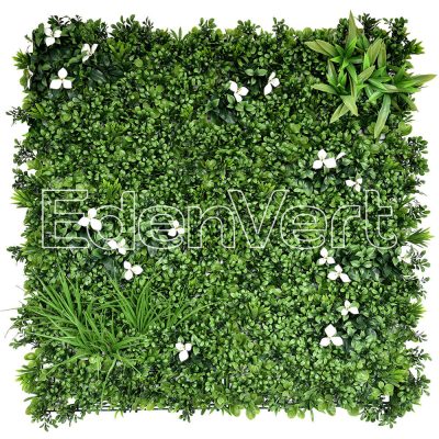 Murraya Beach Artificial UV Green Wall