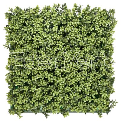 Outdoor Rated Olive Green English Boxwood Panel
