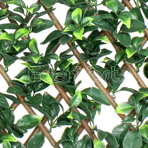 Valla Artificial Dark Gardenia Leaves Willow Fence for Outdoor Garden