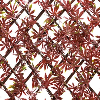 Red Maple Willow Fence for Privacy Screening