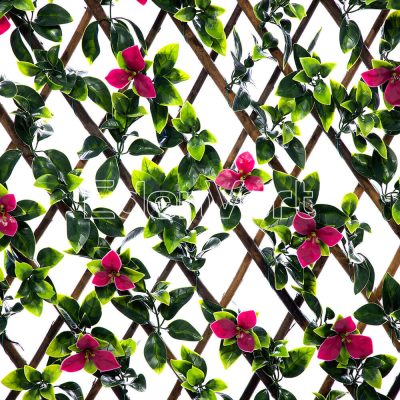 Gardenia Leaf Willow Fence with Red Flowers