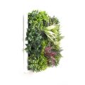 ThalloB Artificial Green Framed Wall Art