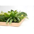 RheaB Hanging Artificial Plants with Wooden Frame