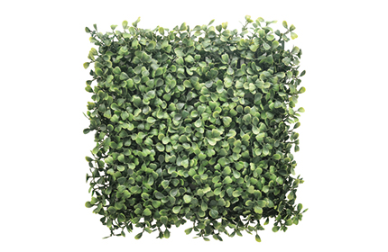 Saludables y Ecológicas