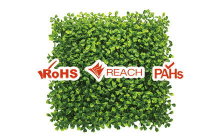 Saludables y Ecológicas