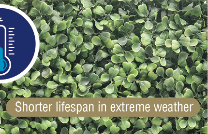 Resistencia al Clima