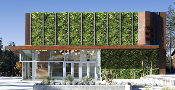 Referencias 12 EdenVert Large Artificial Plant Wall Projects