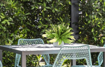 Tallos verdes para la mesa de comedor