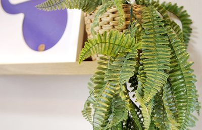 Enredaderas artificiales para el baño