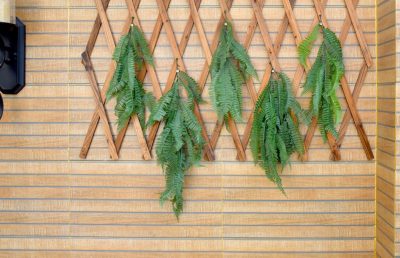 Plantas colgantes artificiales para el comedor