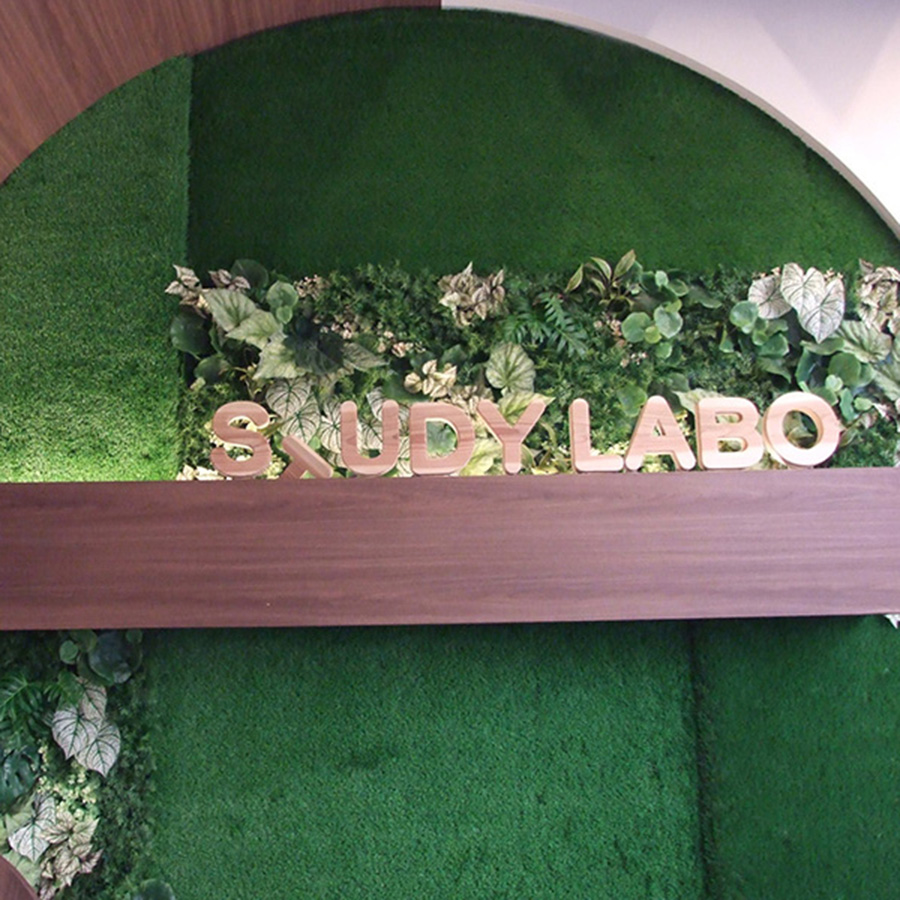 Artificial Grass Wall Decoration