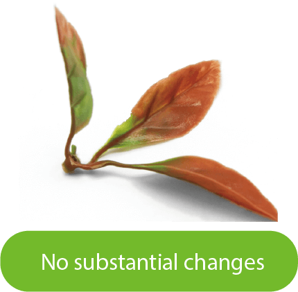 Cómo instalar muros verdes o paneles de seto artificiales 15 Anti-UV-1