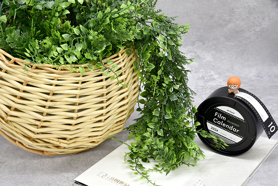 11 Most Common Mistakes When Decorating With Artificial Plants 4 Artificial ferns