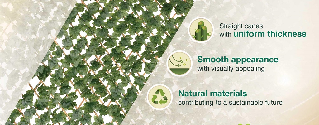 Expandable Bamboo Fence