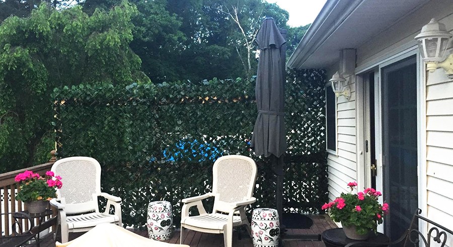 Protector de privacidad